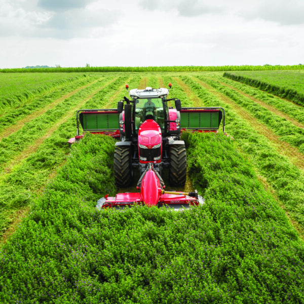 Люцерно-сенокосная смесь