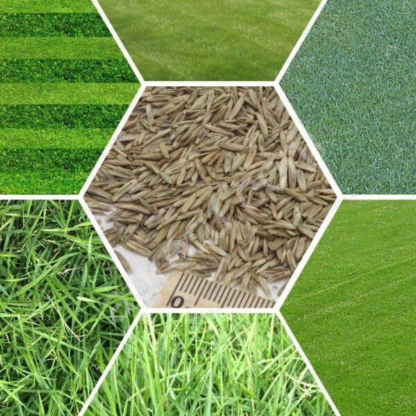 Многокомпонентные смеси индивидуального состава